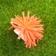 thumbnail image 1 of unbranded De Coral Para Paisajismo Acuático Para Peces, 1 of 6