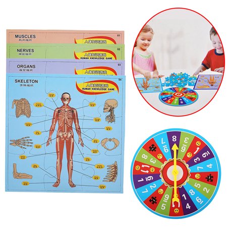 Game Puzzle Human Anatomy Educational Plastic Kids Toys Model