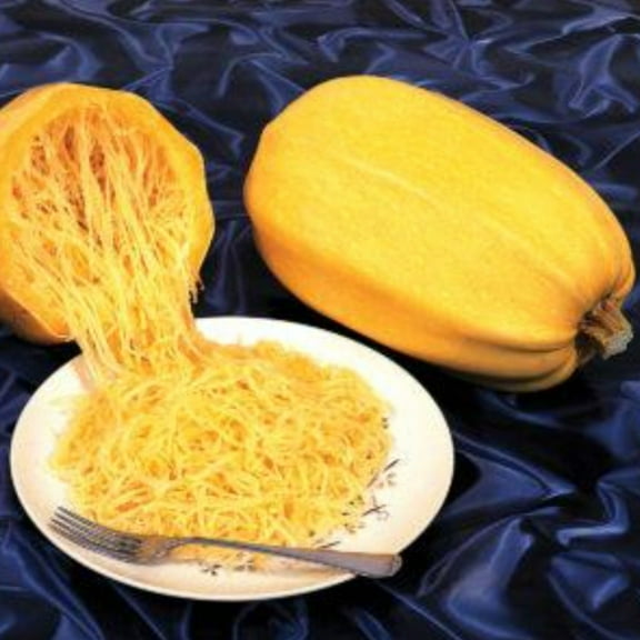 Spaghetti Winter Squash Seeds