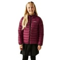thumbnail image 4 of Regatta Boys/Girls Marizion Hooded Padded Jacket, 4 of 6