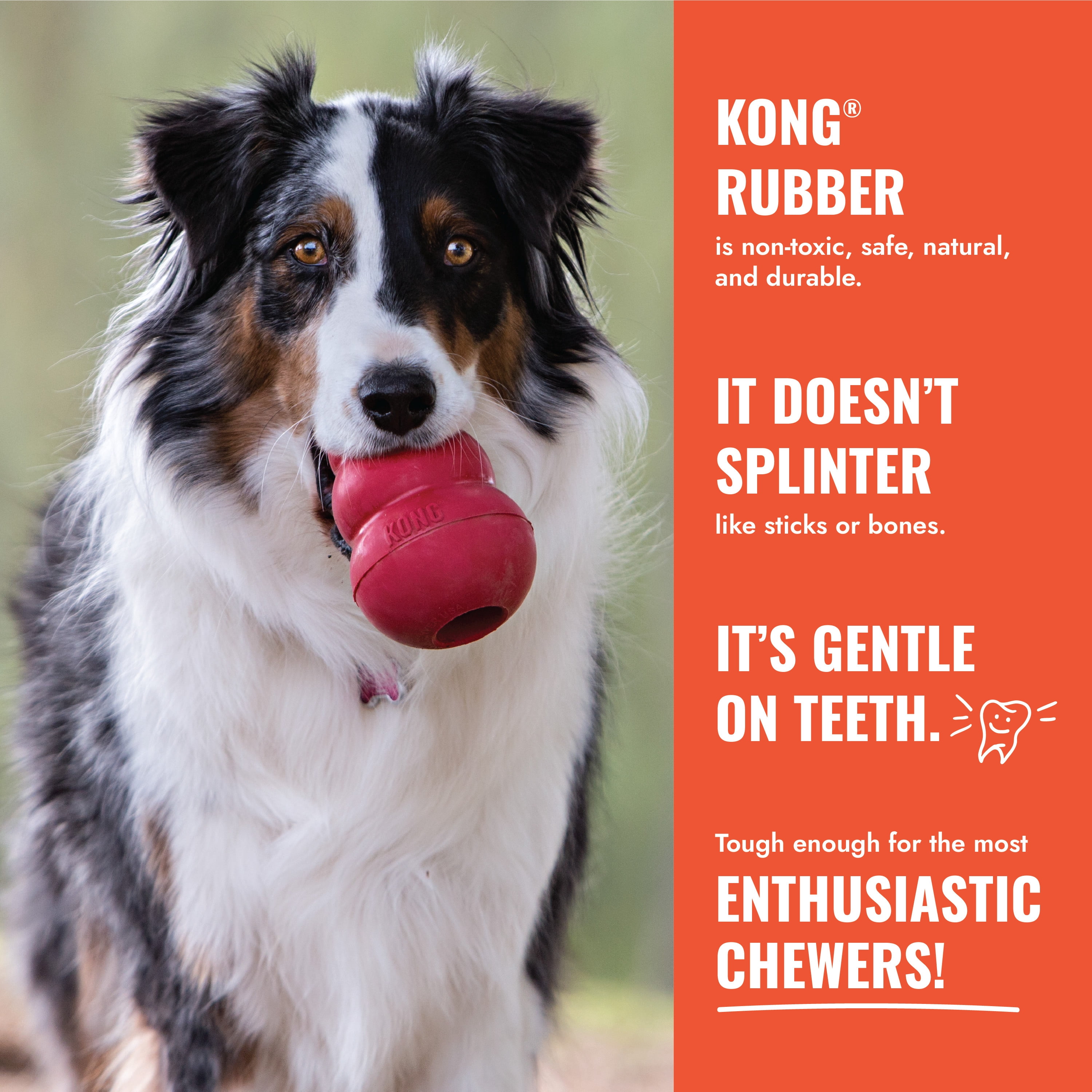 KONG® Aqua Floating Retrieval Dog Toy, Large, for Dogs Between 30-65 lbs