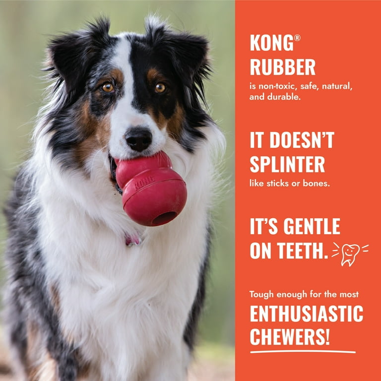 aqua kong dog toys KONG Aqua Dog Toy Large