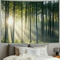 thumbnail image 2 of BCIIG Sunshine Forest Mural Wallpaper Landscape Tree Wallpaper Large Nature Scenery Wall Mural for Living Room  60x50inch, 2 of 6