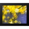 thumbnail image 2 of Popcorn 18x15 Black Modern Framed Museum Art Print Titled - Tree In Bloom I, 2 of 5