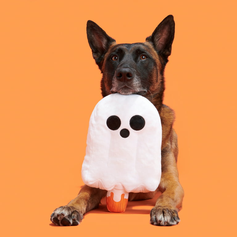 BARK One-Eyed Scaredy Cat Dog Toy Plush Squeaks Halloween Howl