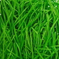thumbnail image 3 of Fine Cut Paper Grass, Green, 1 oz, Easter by Way To Celebrate, 3 of 4