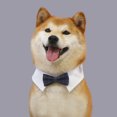 thumbnail image 4 of CSChome Collier pour Animaux de Compagnie Ajustable Collier Attache Douce Col de Chien Cravate Fournitures pour Animaux de Compagnie Collier de Cravate, 4 of 7