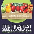 thumbnail image 3 of Organic Tomato Ultimate Seed Variety Pack MVR1&nbsp;- 17 Packs - 2025 Season - Black Krim, Golden Jubilee, Cherokee Purple and More! for Indoor & Outdoor Planting (Non-GMO, Certified Organic), 3 of 3