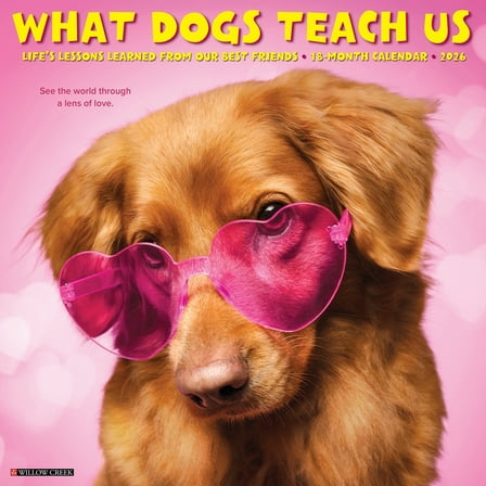 What Dogs Teach Us 2026 Wall Calendar, (Paperback)