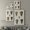 thumbnail image 4 of Cone Shell Collection III Premium Gallery Wrapped Canvas - Ready to Hang, 4 of 9