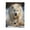 500 Pieces, variant on 500-Piece Wooden Jigsaw Puzzle for Adults - White Wolf Running Arctic Snow , Fun & Relaxing Interlocking No-Dust Puzzle for Family, Home Decor & Holiday Gifts