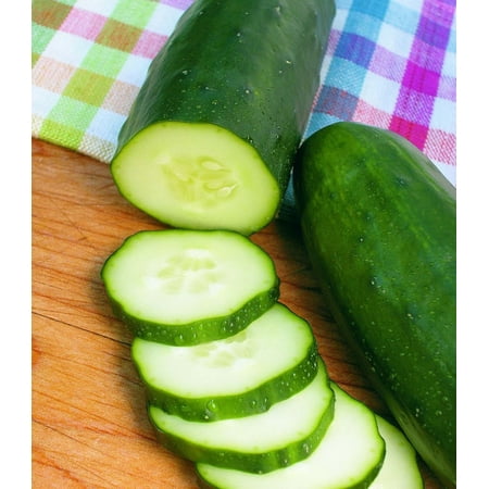 Bonnie Plants Burpless Cucumber Live Plants (6 Count)