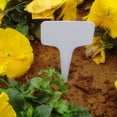 thumbnail image 4 of fastboy 10 Pieces Garden Label Clear View Practical Gardening Accessories Plastic Labels Rust-proof Sticks Nursery Plant Mark white 10pcs, 4 of 5