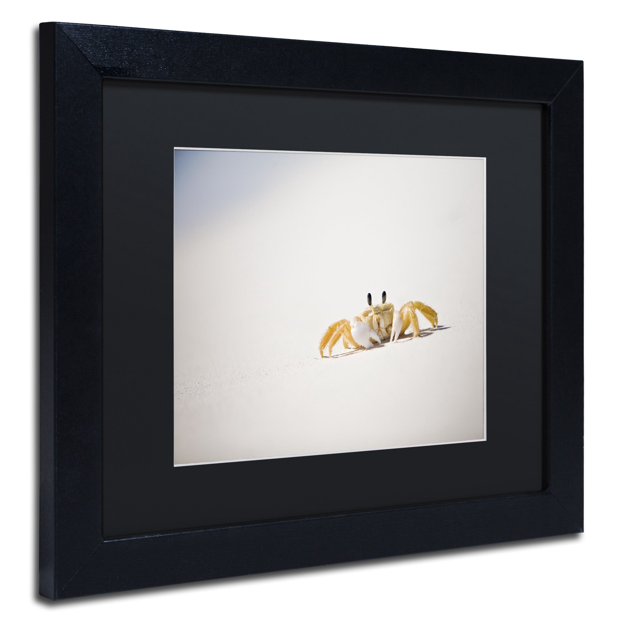 Trademark Fine Art "Ghost Crab 7" Canvas Art by Yale Gurney, Black Matte, Black Frame