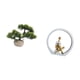thumbnail image 5 of Colección De Bonsáis Artificiales, Plantas Artificiales, Macetas, Centros De Mesa, Figuritas De Niñas, Estatuas De Mujeres, Dormitorio, Regalo Para Lectores, Estantería, Decoración, 5 of 8
