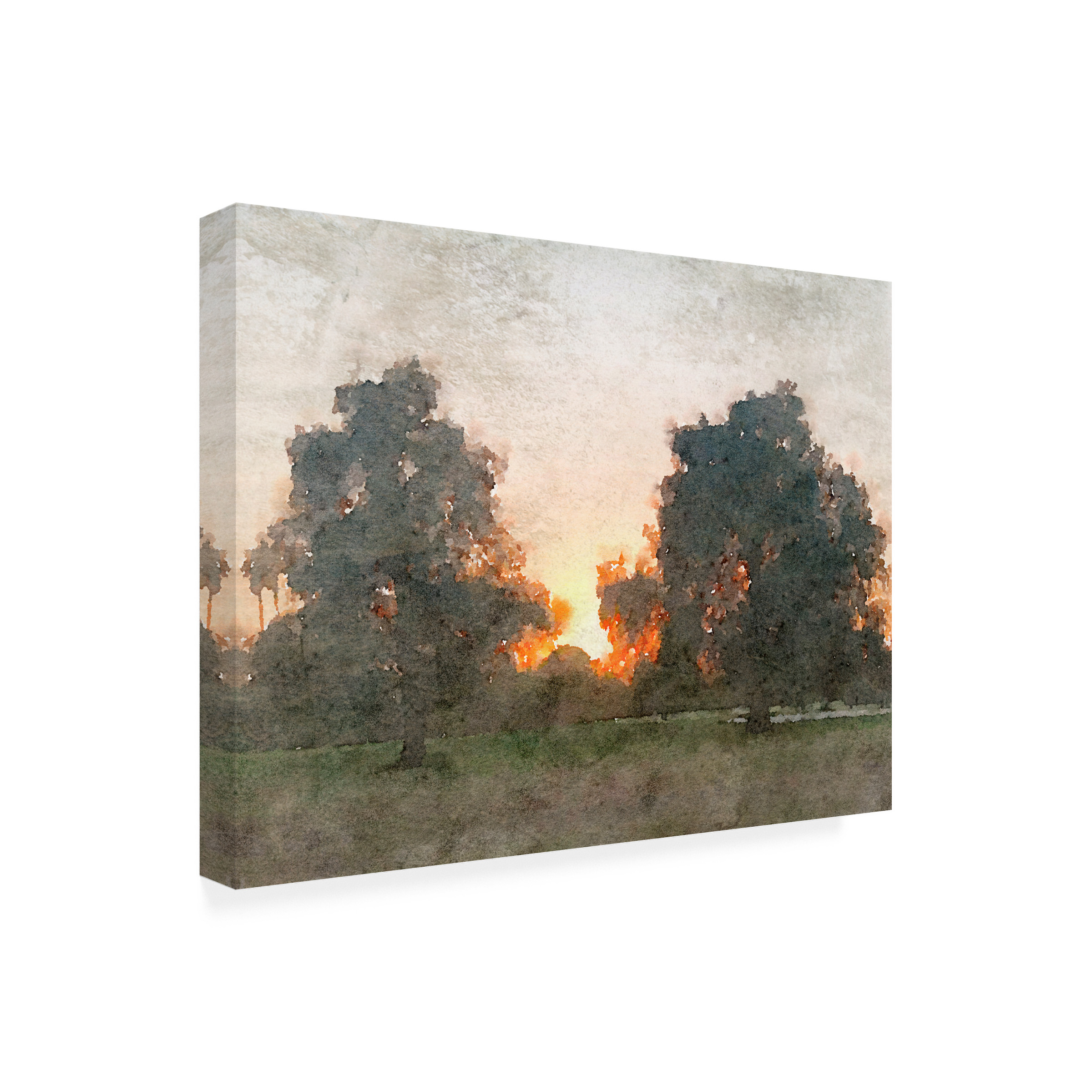 Irena Orlov 'November Morning Mist II' Canvas Art
