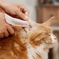thumbnail image 4 of HICC Pet Relief Ear Finger Dog Cat & Small Pet Wipes, 50 count, 4 of 5