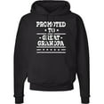 thumbnail image 2 of Inktastic Promoted to Great Grandpa Adult Hoodie Sweatshirt, 2 of 4