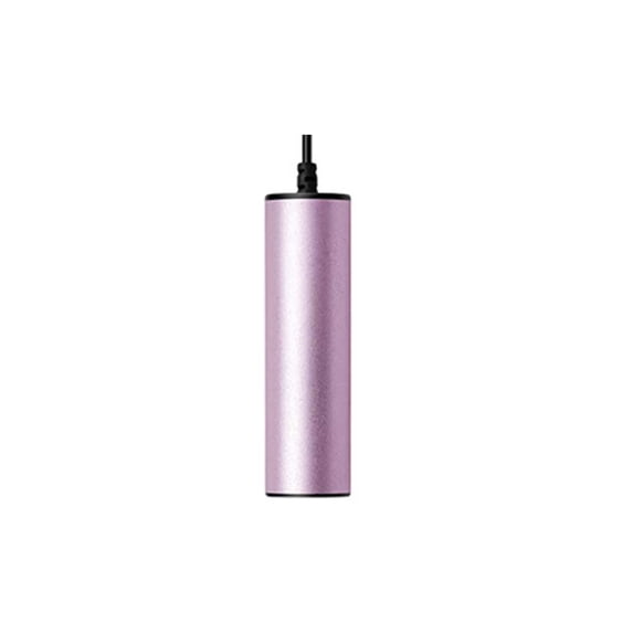 Electric Shoes Dryer Heater Aluminium Alloy Sports Boots Deodorization Warmer Office Dormitory Footwear Drying Accessories Purple