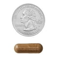 thumbnail image 6 of (3 pack) Spring Valley Non GMO Echinacea Dietary Supplement Vegetarian Capsules for Immune Health, 760 mg, 100 Count, 6 of 9