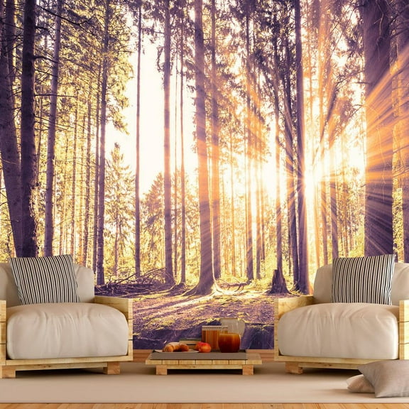 Tiptophomedecor Peel and Stick Forest Wallpaper Wall Mural - Forest Afternoon - Removable Wall Decals