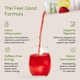 thumbnail image 3 of Happy Being Raspberry Lemon White Tea – Antioxidant & Polyphenol Rich, Infused with Turmeric, Elderberry, Caffeine Free, Plant-Based, Low Sugar & Low Calorie Drinks, 12oz (16 Pack), 3 of 11