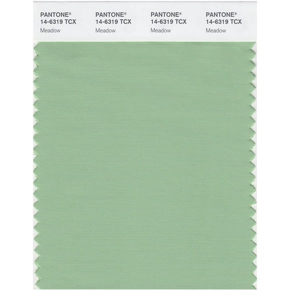 PANTONE SMART 14-6319X Color Swatch Card, Meadow
