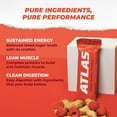 thumbnail image 5 of Atlas Protein Bar, Ultimate Whey Variety Pack, 20g Protein, 1g Sugar, 0g Seed Oil, 12-Pack, 5 of 8