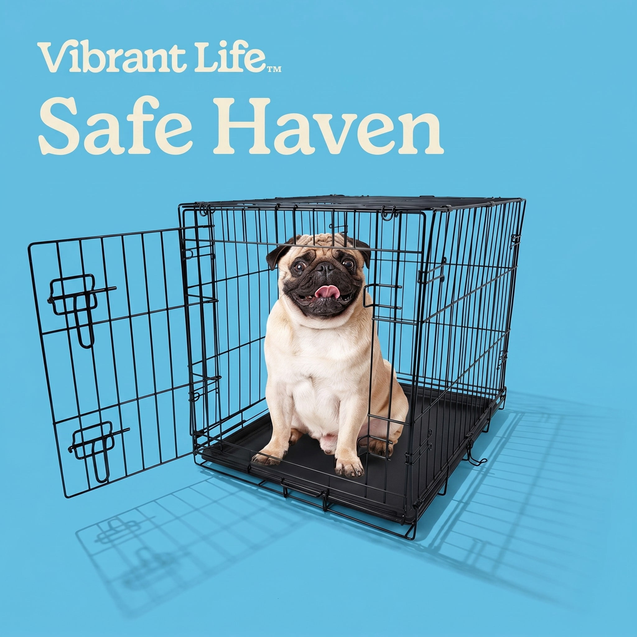 Vibrant Life 24 in Foldable Metal Dog Training Crate with Divider