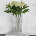 thumbnail image 5 of Ribbed Glass Vase, Clear Glass Vase, Flower Vase for Centerpieces, Tall Vase, Large Glass Vase, Modern Vase for Living Room, Dining Table, Entryway, Mantle, Shelf, Wedding, Office, 11.5 Inches, 5 of 12