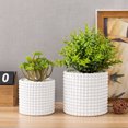 thumbnail image 4 of MyGift Set of 2 Hobnail Textured White Ceramic Flower Planter Pots, 4 of 7