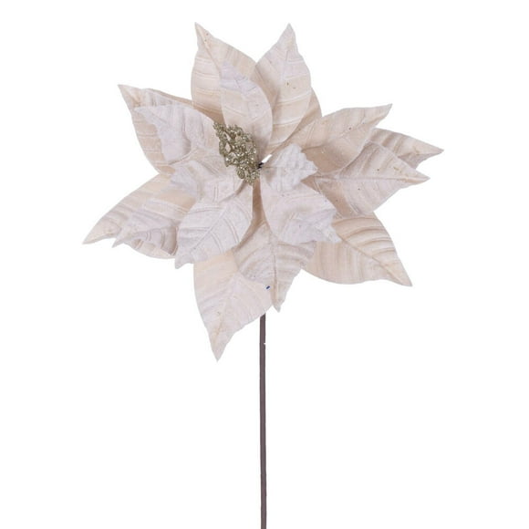 21.5" Champagne Poinsettia 12" Flw 6/Bag