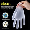 thumbnail image 2 of ZheElen PVC Gloves One-time Clear Latex Gloves Powder Free Hand Protector for Kitchen Food Cooking S, 2 of 9