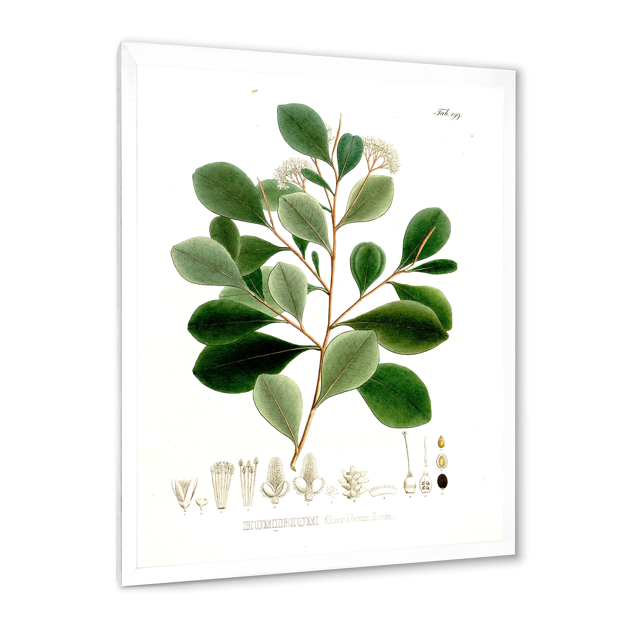 Designart 'Ancient Botanicals IV' Traditional Framed Art Print