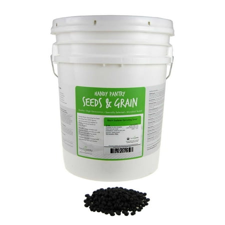 Organic Black Soy Beans - 30 Lb - Black Soybeans - Non-GMO - For Cooking, Making Tofu & Soymilk / Soya Milk