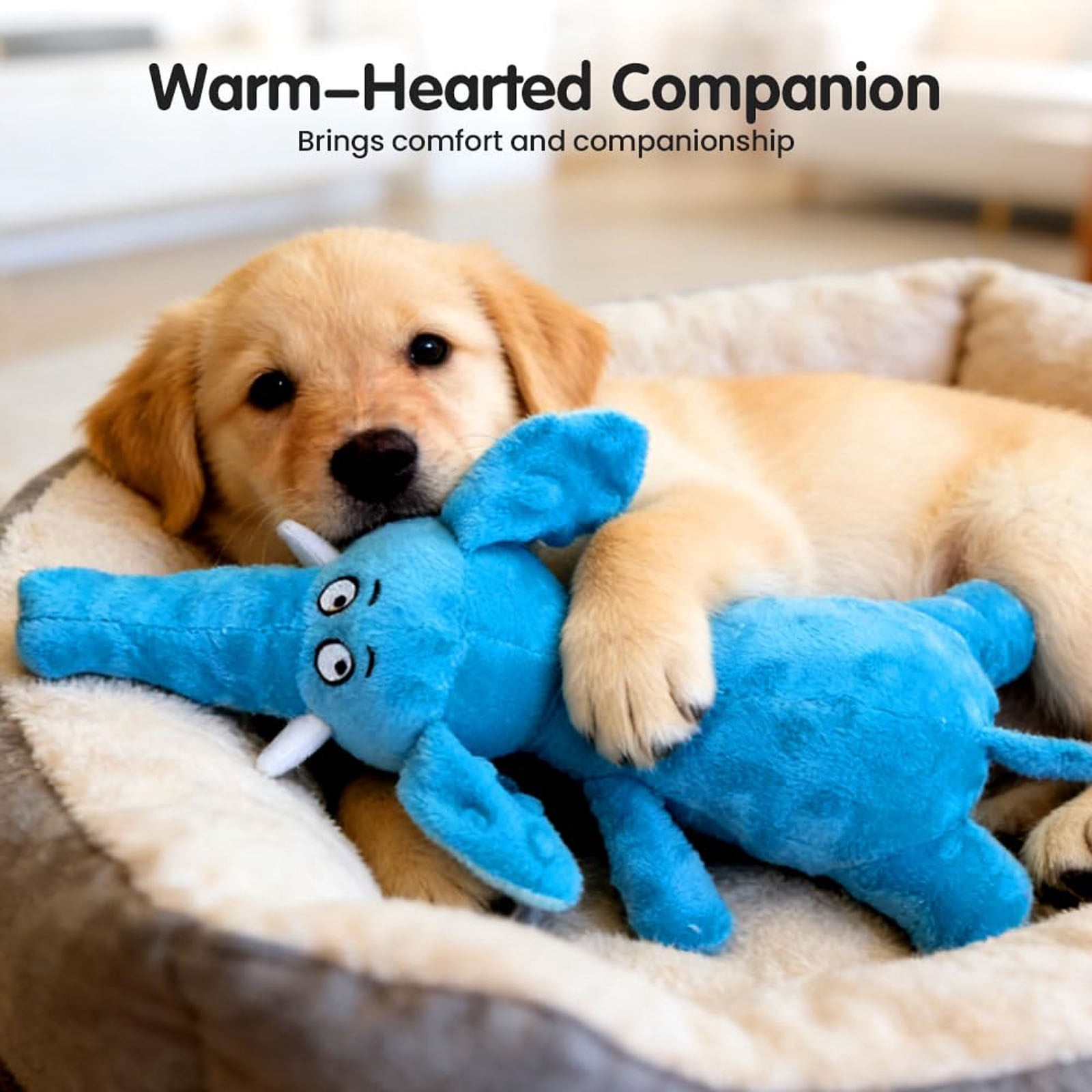 BSJJY Pet Squeaky Toy C, Interactive Soft Puppy Chew Toy, Indestructible for Small to Medium Dogs, Long-Lasting, Cute Design