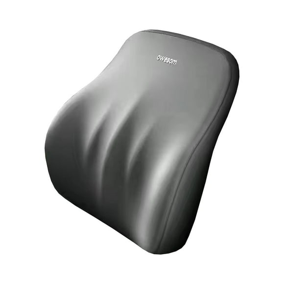 Birdeem Appui-Tête Automobile Mousse à Mémoire de Forme Lombaire Soutien Lombaire Coussin Lombaire Universel pour le Cou Soutien de Voiture Coussin de Conduite