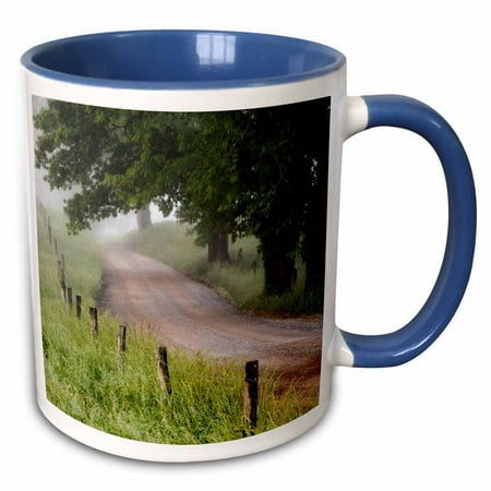 3dRose Cades Cove, Great Smoky Mountains, Tennessee, USA - US43 BJY0013 - Jaynes Gallery - Two Tone Blue Mug, (Best Time To Go To Cades Cove)