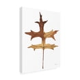 thumbnail image 2 of Anne Tavoletti 'Colors of the Fall I Brown' Canvas Art, 2 of 4