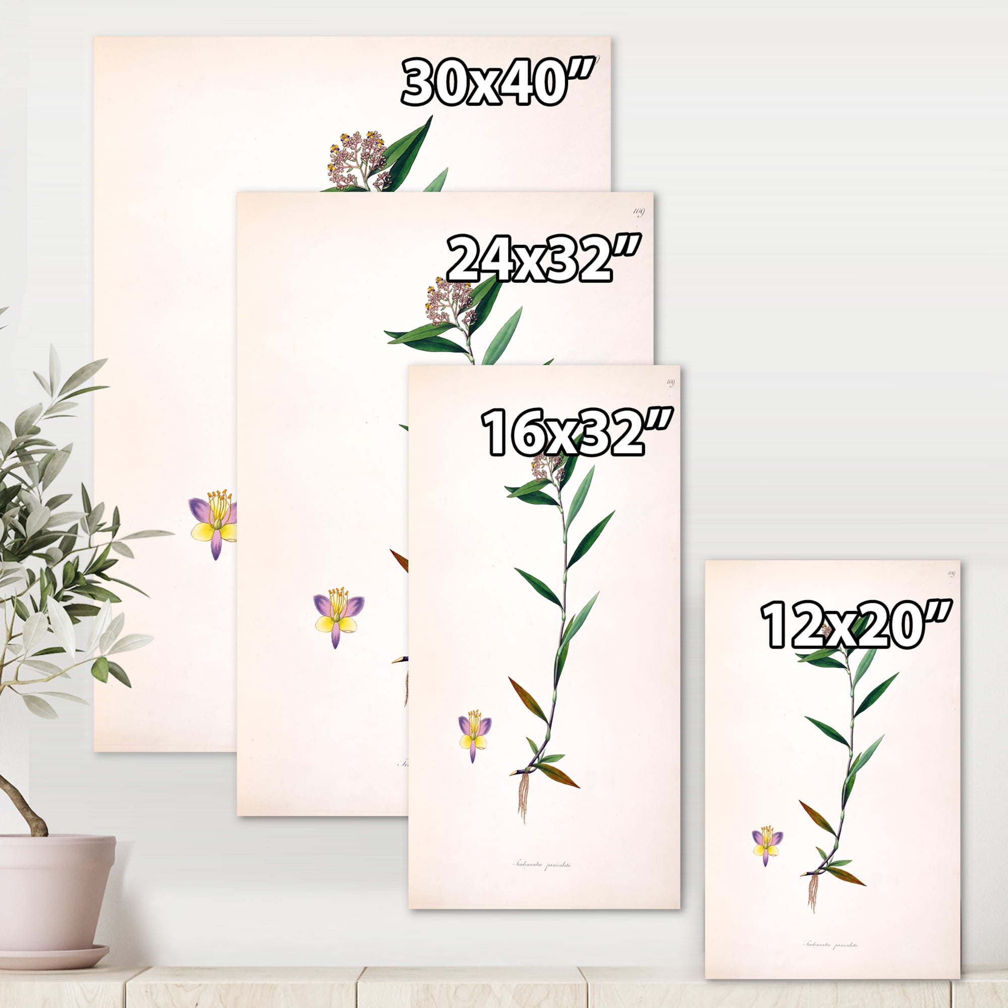Designart ' Ancient Botanicals XIX ' Farmhouse Canvas Wall Art Print