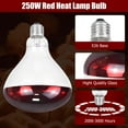 thumbnail image 3 of WJCA 250W Infrared Heat Lamp Bulb 2 Pack, High-Efficiency Heating for Chickens, Reptiles and Pets, Ideal for Chicken Coop and Food Warming Applications, Red, R125, 3 of 7