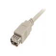 thumbnail image 3 of Startech 10' USB 2.0 Extension Cable, 3 of 3