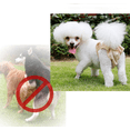 thumbnail image 3 of Paquete de 3 pañales reutilizables para perros, duraderos y lavables, con velcro fuerte y flexible (L) Rojo Verde, 3 of 5