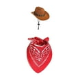 thumbnail image 2 of Traje de ganso, sombrero y bufanda, diseño creativo, decoración de inauguración de la casa, ropa de ganso para Bufanda roja de sombrero marrón, 2 of 9