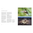 thumbnail image 2 of Wildlife Photography : An Expert Guide (Paperback), 2 of 8