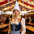 thumbnail image 3 of Oktoberfest Pointed Gnome Hat With Braids, Non‑Woven Bavarian Maid Costume Headpiece For Themed Party Cosplay Events, 3 of 5