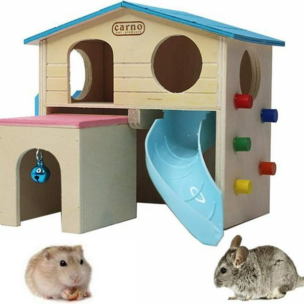Golden sales bear hamster
