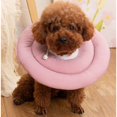 thumbnail image 2 of Colliers de Récupération Confortables pour Chiens, Alternative, Cône Souple pour Chiens, 2 of 6