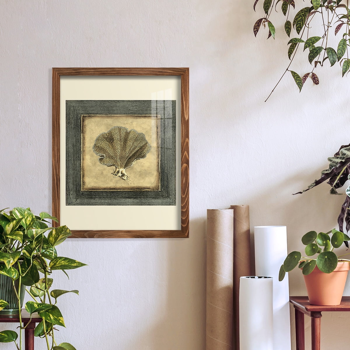 Mini Exotic Coral VI (U) - Framed Print w/glass - Walnut
