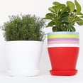 thumbnail image 4 of 25pcs Succulent Plant Pot Saucer Round Tray Plastic Flower Pot Plate Holder, 4 of 7